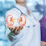 Person holding digital kidney illustration in hand