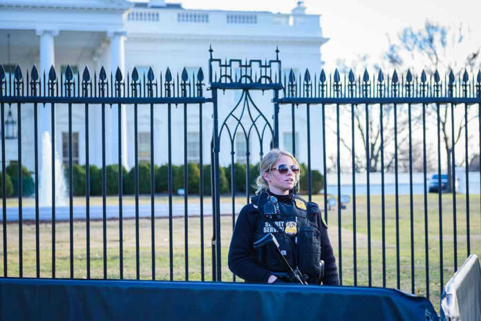 Secret Service agent stands guard outside the White House