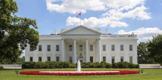 The White House with a fountain and flower beds in front