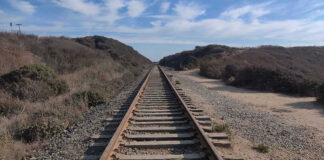 Railway tracks stretching into the distance, surrounded by vegetation.