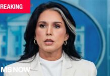BREAKING: DNI Director Tulsi Gabbard is resigning, citing husband's health