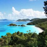 Beach Paradise, Brutal Law Scenic view of a tropical beach with clear blue water and lush greenery