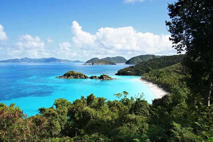 Scenic view of a tropical beach with clear blue water and lush greenery