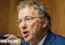 'Show trial': Cohn says Fauci hearing was about Rand Paul being invested in a conspiracy