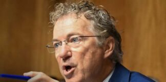 'Show trial': Cohn says Fauci hearing was about Rand Paul being invested in a conspiracy