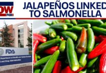 Popular Pepper Recall Sparks Health Alert Salmonella outbreak linked to jalapeños expands
