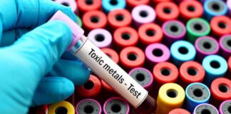 Gloved hand holding blood vial over colorful test tubes