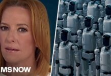 Anthropic CEO Calls for Slower AI Progress as Safety Lags A.I.'s threat to humanity given new consideration in Congress