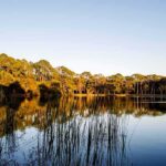 Lake with tall grasses and pine trees reflected at sunset