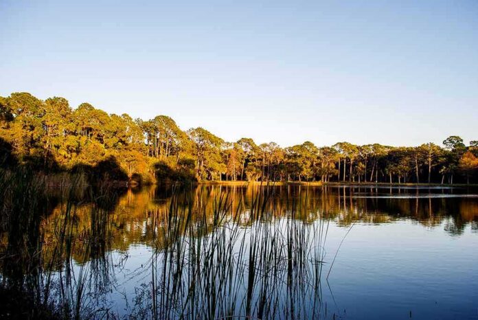 shutterstock_1027579723 Lake with tall grasses and pine trees reflected at sunset