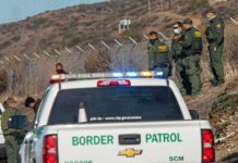 Texas Ranch Chase Ends in Arrests Border Patrol agents gather near fence with patrol trucks