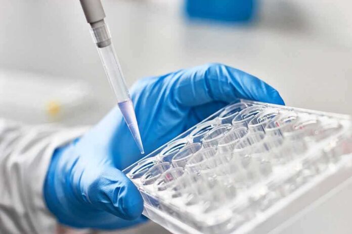 shutterstock_612999197-1 Gloved hand holding a multiwell plate as a pipette dispenses liquid